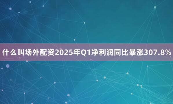 什么叫场外配资2025年Q1净利润同比暴涨307.8%