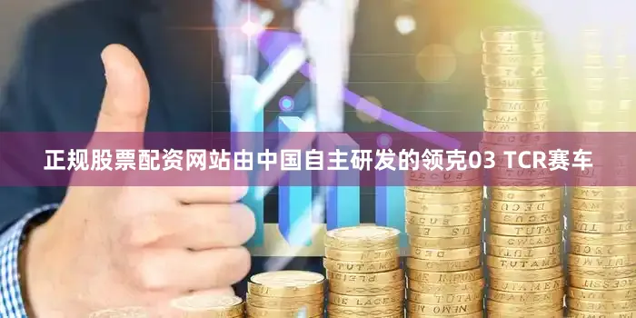正规股票配资网站由中国自主研发的领克03 TCR赛车