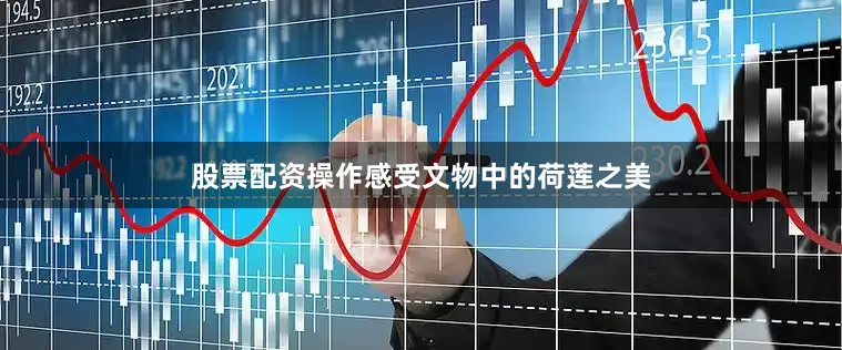 股票配资操作感受文物中的荷莲之美